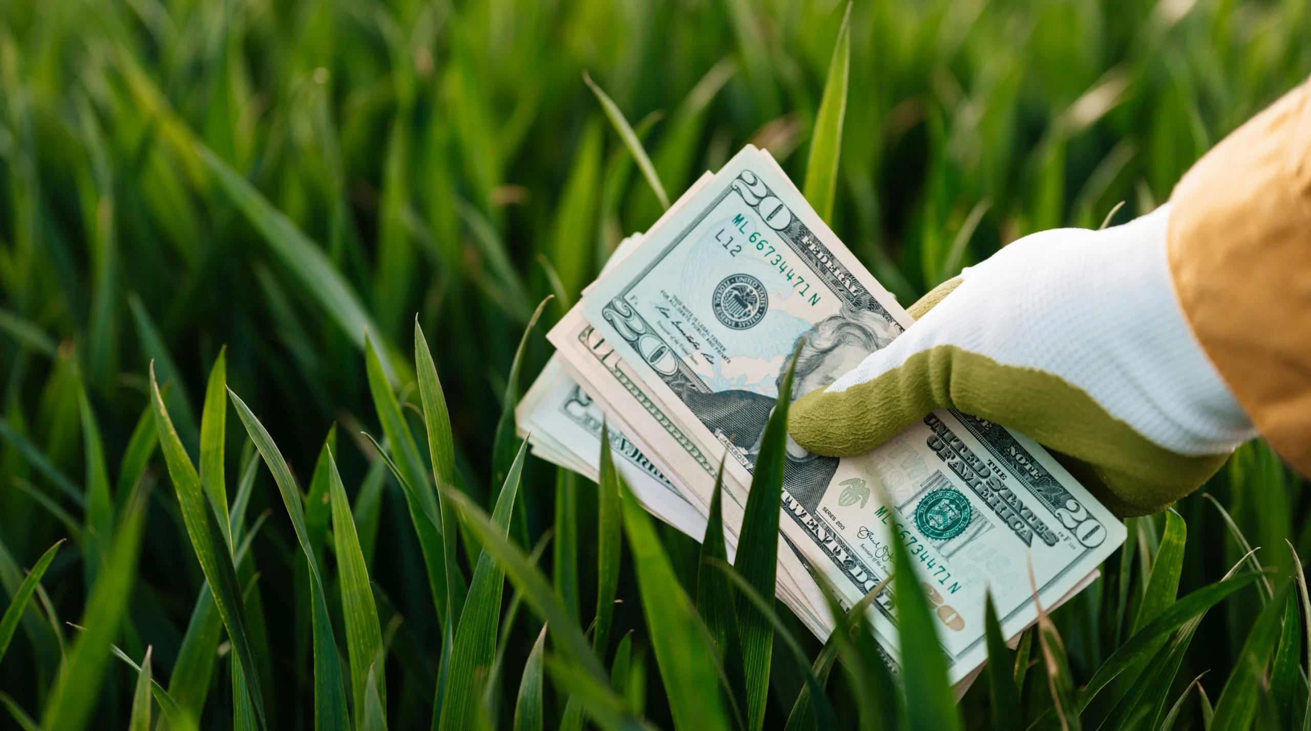 Investire con impatto: definizione e differenze rispetto all’investimento ESG