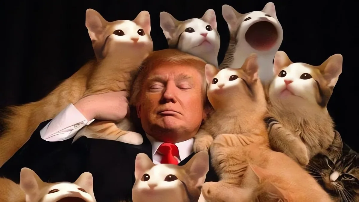Che cos’è e come opera la meme coin Popcat